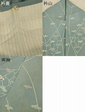 平和屋着物*夏物 小紋 絽 舞花文 正絹 逸品 AABK2696jd