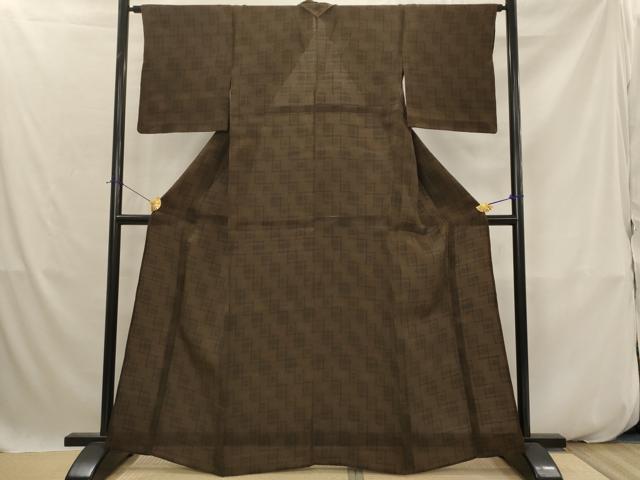 平和屋着物*夏物 紗紬 琉球絣文様 正絹 逸品 AABK2801st