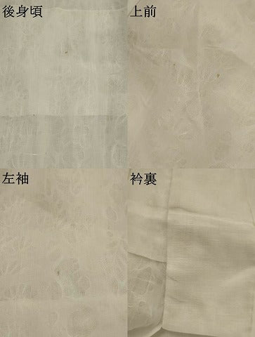 平和屋着物*夏物 長襦袢 草花紋紗 白色 AABK2813st
