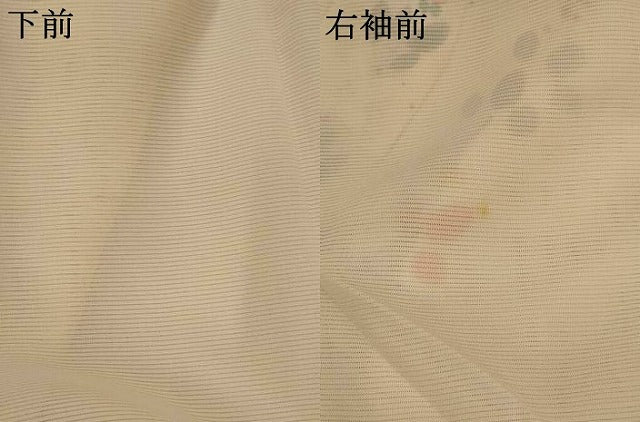 平和屋着物*夏物 訪問着 絽 手描き 草花文 正絹 逸品 AABK2948st