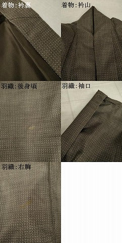 平和屋着物●男性 本場大島紬 アンサンブル 西郷絣 反端付き 正絹 逸品 AABK3067ck