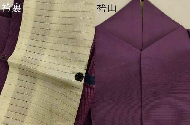 平和屋着物*夏物 色無地 絽 滅紫色 正絹 逸品 AABK3985jd