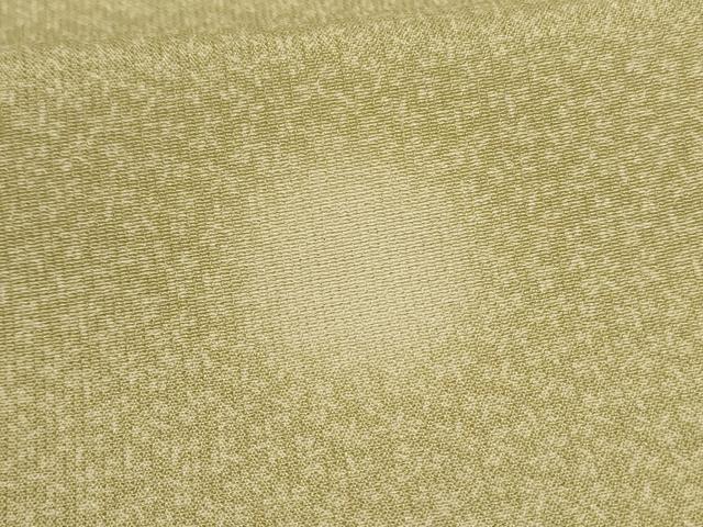 平和屋着物*夏物 小紋 勝虫 丸文 蛍暈し 逸品 AABK4099jd