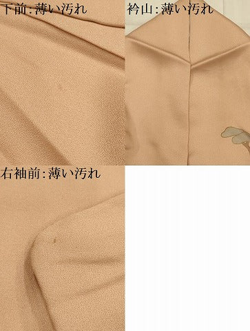 平和屋着物■訪問着 刺繍 花短冊浜松文 金銀彩 金糸 正絹 逸品 AABK5741sx