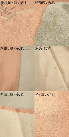 平和屋着物■訪問着 刺繍 鴛鴦 暈し染め 金糸 金彩 正絹 逸品 AABK6139sx