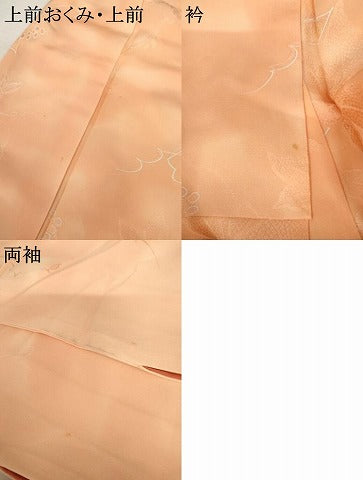 平和屋着物●上質な小紋 地紋起こし 葡萄枝葉文 暈し染め 正絹 逸品 AABK6380cs