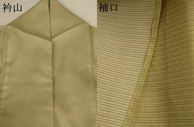 平和屋着物*夏物 訪問着 絽 草花文 暈し染め 洗える着物 AABK6559jd