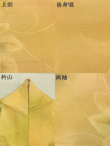 平和屋着物●上質な小紋 地紋起こし 草花文 暈し染め 正絹 逸品 AABK7523fy