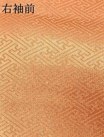 平和屋着物●訪問着 駒刺繍 草花文 暈し染め 金彩 正絹 逸品 AABK7543fy