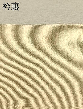 平和屋着物●振袖用長襦袢 無双仕立て 乱菊地紋 暈し染め 正絹 逸品 AABK7917fy