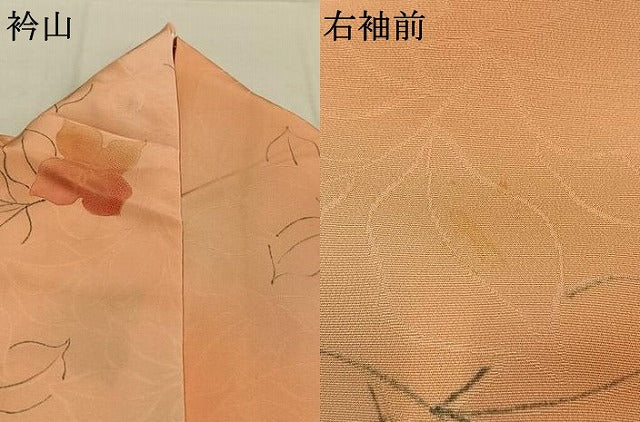 平和屋着物●上質な小紋 地紋起こし 草花文 暈し染め 正絹 逸品 AABK7924fy