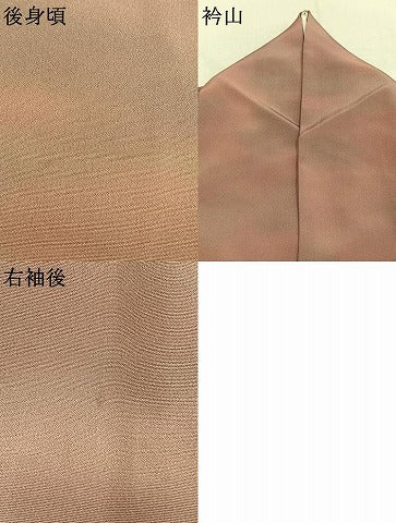 平和屋着物●虹色創家 本郷大田子 色留袖 霞文 暈し染め 正絹 逸品 AABK8042fy