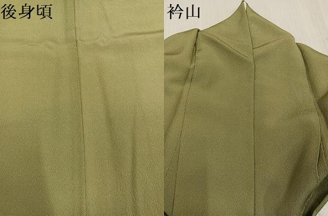 平和屋着物●伝統工芸師 服部光擴 江戸小紋 極小鮫小紋柄 草木染 正絹 逸品 AABK8244ph