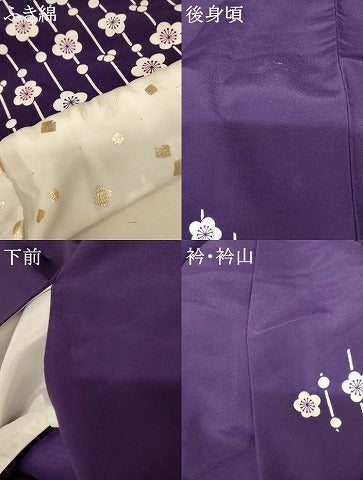 平和屋本店●お引きずり・お引き摺り 訪問着 和装 舞台 舞妓 芸妓 芸者 衣装 枝垂れ梅文 逸品 AABK8479fw