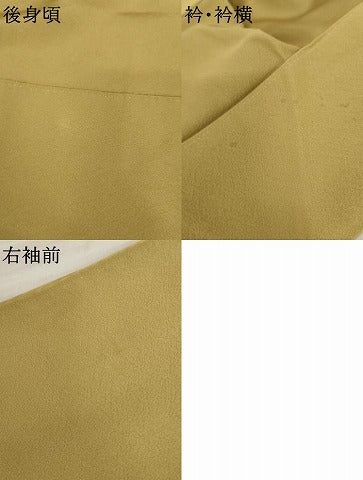 平和屋着物●訪問着 友禅 枝花文 正絹 逸品 AABK8639cs