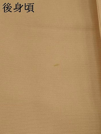 平和屋着物*夏物 訪問着 絽 駒刺繍 花舟文 暈し染め 銀彩 正絹 逸品 AABK8876st