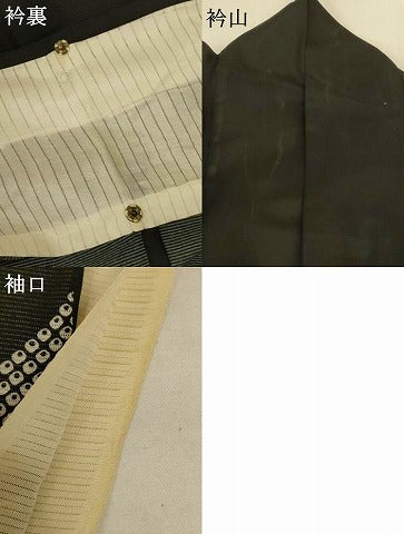 平和屋着物*夏物 訪問着 絽 青海波 洗える着物 AABK9421jd