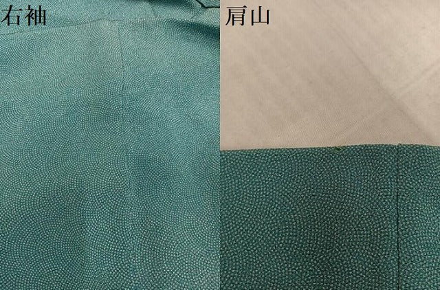 平和屋着物●訪問着 江戸小紋 鮫小紋柄 暈し染め 鬼しぼ縮緬 正絹 逸品 AABL0651ph