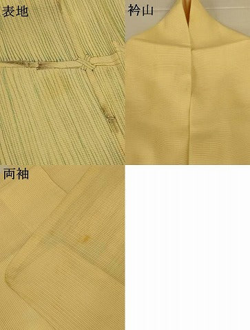 平和屋着物*夏物 訪問着 絽 手描き 風景文 正絹 逸品 AABL0797jd