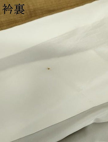 平和屋着物●上質な紬 色無地 黄橡色 正絹 逸品 AABL1027cs