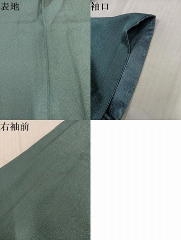 平和屋着物●訪問着 螺鈿 花鳥文 暈し染め 金銀彩 銀通し地 正絹 逸品 AABL1281ph
