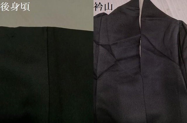 平和屋着物●染色作家 斉藤三才 振袖 舞蝶文 黒地 ロング丈 正絹 逸品 AABL1311ph
