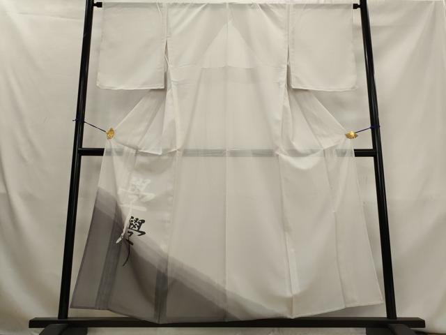 平和屋着物*夏物 色留訪問着 絽 文字文 暈し染め 洗える着物 AABL1489st