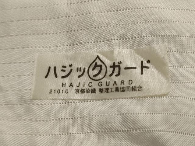 平和屋着物*夏物 紗紬 涼風 間道 証紙付き 正絹 逸品 AABL1494st