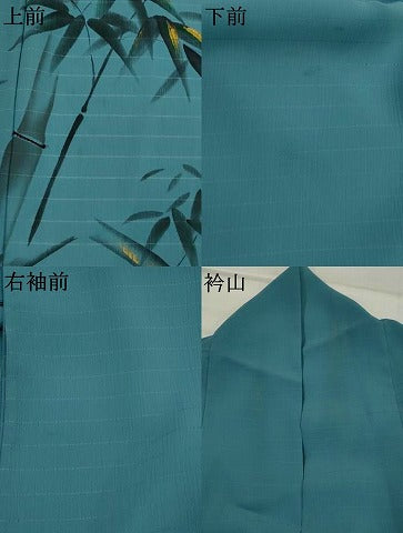 平和屋着物*夏物 訪問着 絽縮緬 手描き 飛鳥笹竹文 洗える着物 AABL1500st