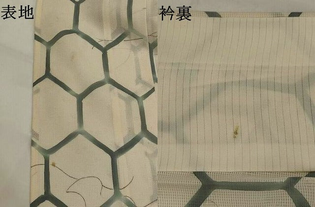 平和屋着物*夏物 小紋 絽 亀甲文 正絹 逸品 AABL1531st