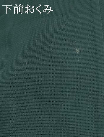 平和屋着物*夏物 訪問着 絽 飛鳥文 正絹 逸品 AABL1631st