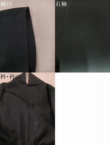 平和屋着物●訪問着 作家物 隆二 チーター 暈し染め 正絹 逸品 AABL1730ph