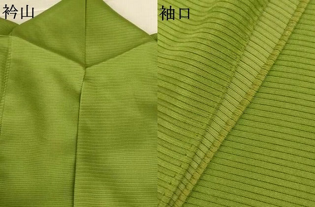 平和屋着物*夏物 色留袖 絽 友禅 枝垂れ花文 正絹 逸品 AABL2608jd