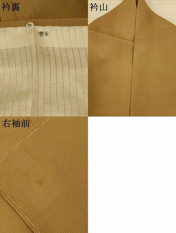 平和屋着物*夏物 訪問着 絽 駒刺繍 丸文 正絹 逸品 AABL2615jd