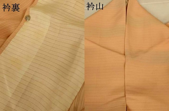 平和屋着物*夏物 小紋 絽 横段文 暈し染め 正絹 逸品 AABL2774jd