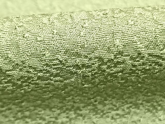 平和屋着物●本草木染作家 瑞寶 色無地 紋意匠 裏葉柳色 三越扱い 正絹 逸品 AABL2827fy