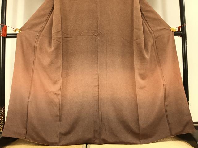 平和屋着物●訪問着 江戸小紋 鮫小紋柄 暈し染め 正絹 逸品 AABL2994fy