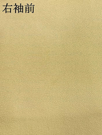 平和屋着物●訪問着 手描き 草花文 暈し染め 金彩 正絹 逸品 AABL2997fy