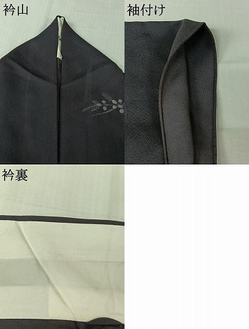 平和屋着物▽訪問着 単衣 草花文 金彩 正絹 逸品 AABL3871jh