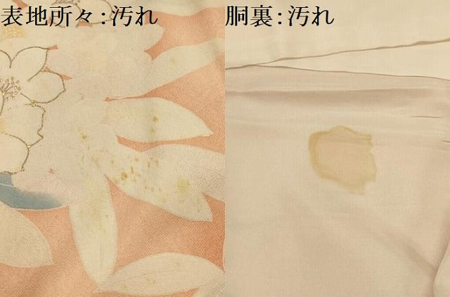 平和屋着物■訪問着 草花文 金彩 正絹 逸品 AABL4369sx