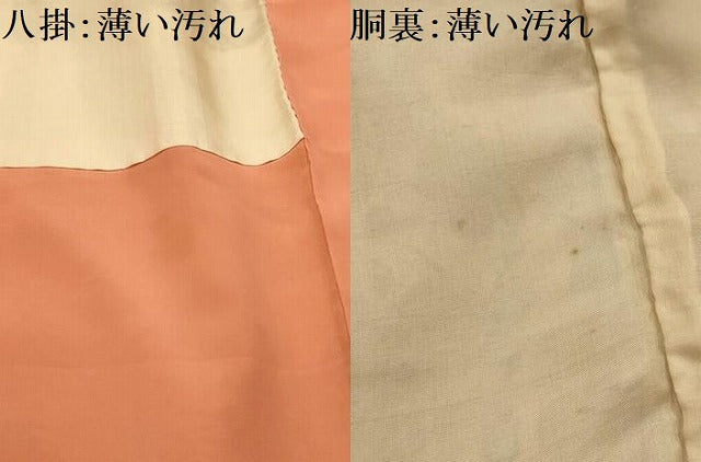 平和屋着物■上質な小紋 枝花文 正絹 逸品 AABL4373sx