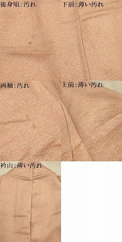 平和屋着物■訪問着 刺繍 花文箱文 金彩 正絹 逸品 AABL4410sx