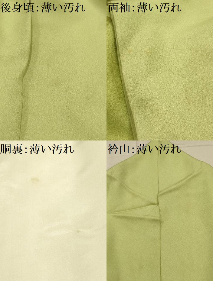 平和屋着物■訪問着 作家物 手描き 枝花文 暈し染め 正絹 逸品 AABL4651sx