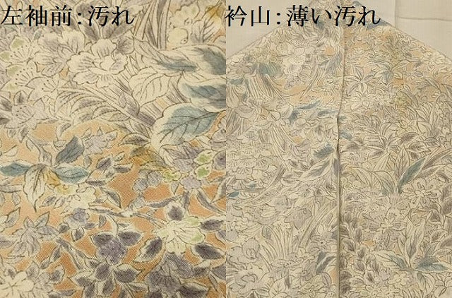 平和屋着物■訪問着 草花文 鬼しぼ縮緬 正絹 逸品 AABL4839sx