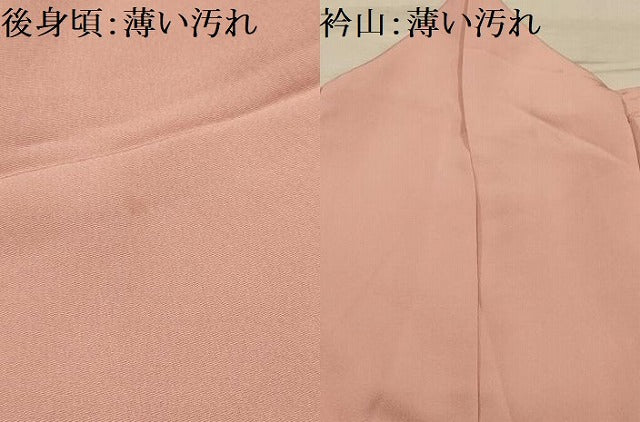 平和屋着物■訪問着 刺繍 雪輪花地紋 正絹 逸品 AABL4932sx