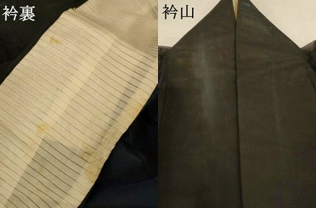 平和屋着物*夏物 小紋 紗 風景文 黒地 正絹 逸品 AABL5236jd