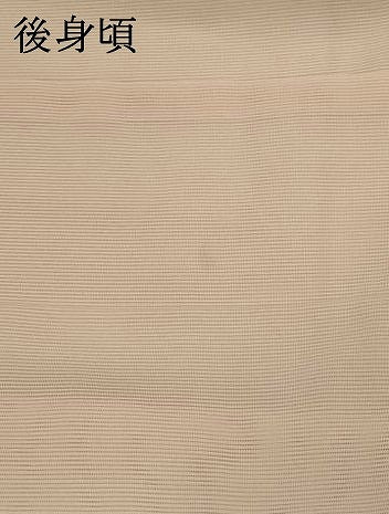 平和屋着物*夏物 訪問着 絽 草花文 暈し染め 金彩 洗える着物 AABL6168st