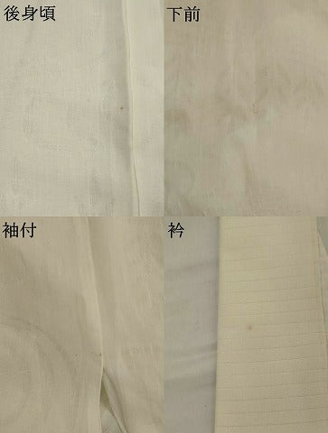 平和屋着物*夏物 長襦袢 流水草葉紋紗 胡粉色 麻 AABL6179st