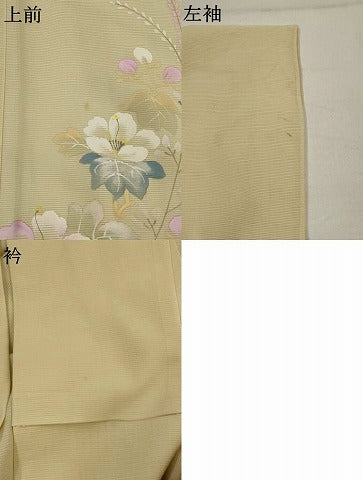 平和屋着物*夏物 訪問着 絽 手描き 枝花文 正絹 逸品 AABL6203st