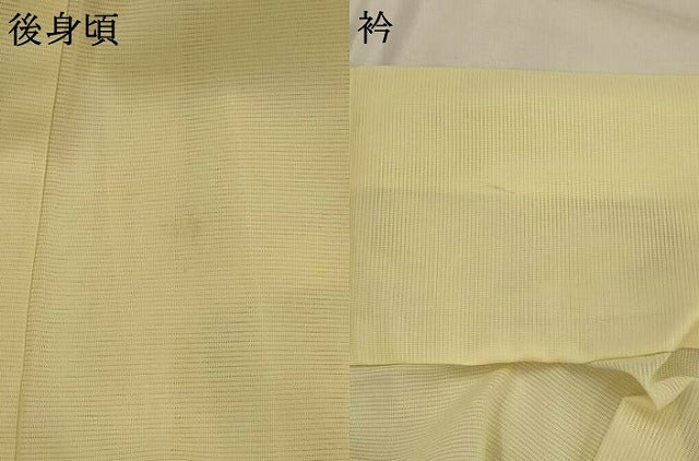 平和屋着物*夏物 訪問着 絽 枝梅文 洗える着物 AABL6293st